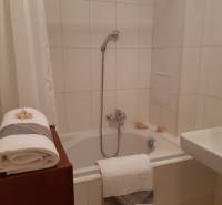 Badezimmer mit Dusche, Badewanne, Waschbecken und weißen Handtüchern, geeignet für eine 3-Zimmer-Wohnung.