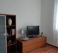 Wohnzimmer mit Holzboden, Bücherregal, Fernseher und dekorativen Gegenständen.