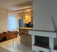 Küche in einem Einfamilienhaus mit Bar, Kamin, Holzdekor und Möbeln.