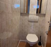 Toilette in einem Einfamilienhaus mit Fliesen und Spiegel, auf dem Boden mit Holzdekor.