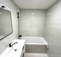 Badezimmer in einem Studio-Apartment mit Dusche, Badewanne, Waschbecken und Spiegel.