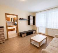 Wohnzimmer in einer 2-Zimmer-Wohnung mit Holzboden und weißen Vorhängen.