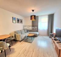 Helles Wohnzimmer in einer 2-Zimmer-Wohnung mit komfortablem Sofa und Boden in Holzoptik.