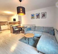 Wohnzimmer in einer 2-Zimmer-Wohnung mit Küchenzeile und Holzboden.