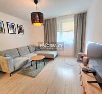 Wohnzimmer in einer 2-Zimmer-Wohnung mit Holzboden und bequemer Couch.