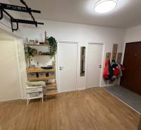 Eingangshalle mit vier Türen, Holzboden und Kleiderhaken in einer Vierzimmerwohnung.