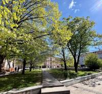 Grünflächen und Bäume auf dem Dulovo námestie in Bratislava - Ružinov bei sonnigem Wetter.