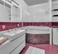 Albina-Brunovskeho-13.jpg