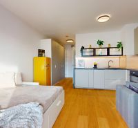 1-Zimmer-Wohnung mit Küchenzeile, Boden in Holzoptik und gelbem Kühlschrank.