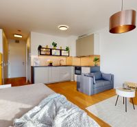 Kompakte 1-Zimmer-Wohnung mit Küche, gelbem Kühlschrank und Boden in Holzoptik.