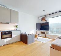 Wohnzimmer in einer Einzimmerwohnung mit Sofa, großem Fernseher und Holzboden.
