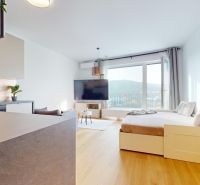 Helle 1-Zimmer-Wohnung mit großen Fenstern und Holzboden.