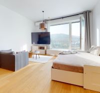 Wohnbereich in einer Einzimmerwohnung mit Holzboden und bequemen Sitzgelegenheiten.