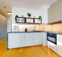 Küche in einer Einzimmerwohnung mit Holzboden und heller Küchenzeile.
