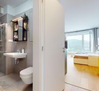Badezimmer mit verglaster Duschkabine und Schlafzimmer mit Holzdekorboden in einer Einzimmerwohnung.