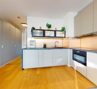 Innenraum einer 1-Zimmer-Wohnung mit Küchenzeile, grauen Schränken und einem Boden in Holzoptik.