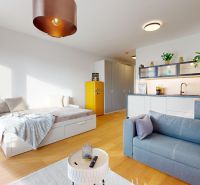 Innenraum einer Einzimmerwohnung mit Sofa, Bett und Küchenzeile, Boden mit Holzdekor.