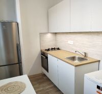 Küche in einer Einzimmerwohnung mit weißen Schränken, Kochfeld und Bodenbelag in Holzoptik.