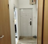 Der Flur in einer Einzimmerwohnung mit einem Holzboden und einer Eingangstür.