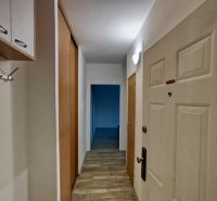 Ein enger Flur mit Holzboden in einer Einzimmerwohnung mit Stauraum.