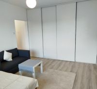 Einzimmerwohnung mit Sofa, Couchtisch und Holzboden.