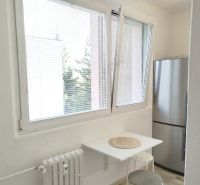 Küchenecke in einer Einzimmerwohnung mit Fenster, kleinem Tisch und Kühlschrank.