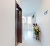 Ein heller Flur in einer Einzimmerwohnung mit Dekorationen und einer Zimmerpflanze.