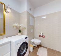 Badezimmer mit Waschmaschine und Toilette in einer Einzimmerwohnung, helles Design.
