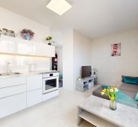 Wohnzimmer mit Küche in einer Einzimmerwohnung mit Holzboden und dekorativen Elementen.
