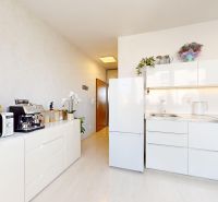 Küche in einer Einzimmerwohnung mit weißen Möbeln und Pflanzen auf einem Boden mit Holzdekor.