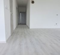 Innenraum eines Einfamilienhauses mit weißen Wänden und einem Boden in Holzoptik.