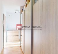 Flur mit Holzboden in einer 2-Zimmer-Wohnung, mit einem großen Einbauschrank.