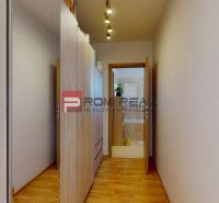 Flur mit Holzboden und Einbauschrank in einer 2-Zimmer-Wohnung.