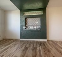 Wohnzimmer in einer Zweizimmerwohnung mit Holzboden und grüner Wand.