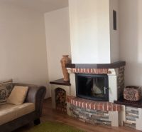 In der 3-Zimmer-Wohnung befindet sich ein Kamin mit Ziegel-Details und ein bequemes Sofa.