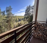 Der Balkon in Stará Lesná in Stará Lesná bietet einen Blick auf den Wald von einer 3-Zimmer-Wohnung.