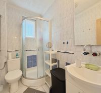 Badezimmer in einem Einfamilienhaus mit Toilette, Dusche und Waschbecken.