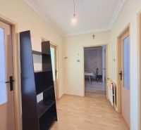 Ein Flur in einem Einfamilienhaus mit einem Boden in Holzoptik und einem schwarzen Regal.