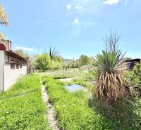 Der Garten des Einfamilienhauses in der Puškinova-Straße in Partizánske mit Rasen und Sträuchern.