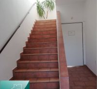 Das Innere eines Einfamilienhauses mit roten Treppen, weißen Wänden und einer Pflanze.