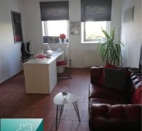 Innenraum eines Einfamilienhauses mit Ledersofa, Tisch und Zimmerpflanze.