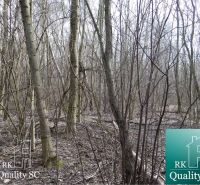 Waldgrundstück in der Straße Starý prístav Gabčíkovo, geeignet zum Wohnen.