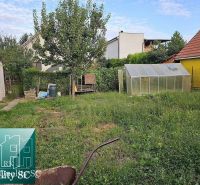 Der Garten des Einfamilienhauses in Turany mit Rasen, Baum, Gewächshaus und Nebengebäude.