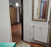 Ein Raum in einem Einfamilienhaus mit einem Boden in Holzoptik, einem Spiegel und einem Heizkörper.