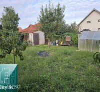 Garten eines Einfamilienhauses in der Gemeinde Tureň mit Rasen, Gewächshaus und Bäumen.
