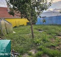 Der Garten des Einfamilienhauses in Turany mit Gehölzen, einem Folientunnel und einem gelben Zaun.