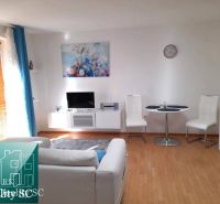 Wohnzimmer in einer Einzimmerwohnung mit Holzboden, Sofa und Fernseher.