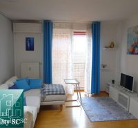 Heller Wohnbereich in einer Einzimmerwohnung mit Holzboden.