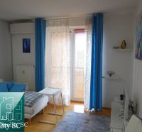 Ein Zimmer in einer Einzimmerwohnung mit weißen Wänden, einem Boden in Holzoptik und blauen Vorhängen.