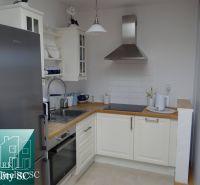 Küche mit Edelstahl-Dunstabzugshaube und Holzelementen in einer Einzimmerwohnung.